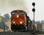 F51T6515 copy.JPG